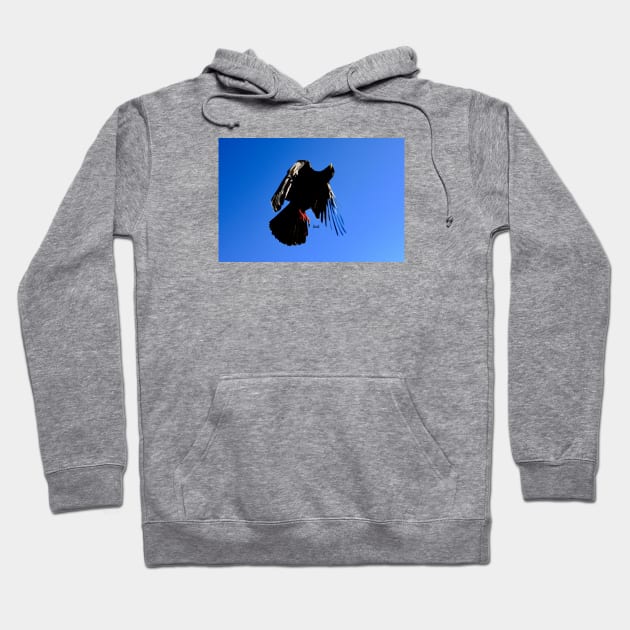 Alpine Jackdaw Bird / Swiss Artwork Photography Hoodie by RaphaelWolf